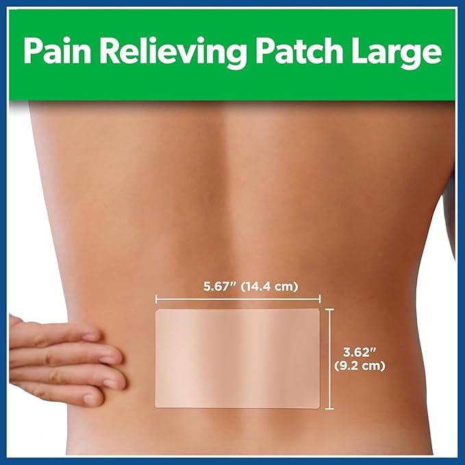 Salonpas Parche - 2